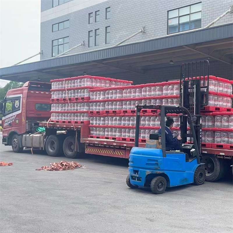 凭祥市探秘玉屏县多元物流服务与运输线路